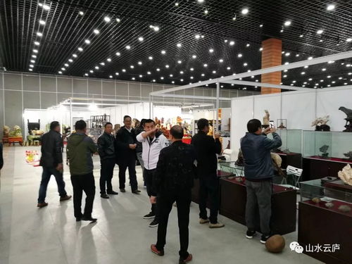 石韵启新程——黄山玉石协会访绍兴奇石展与文化传承之谋
